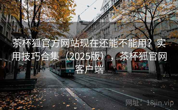 茶杯狐官方网站现在还能不能用？实用技巧合集（2025版），茶杯狐官网客户端